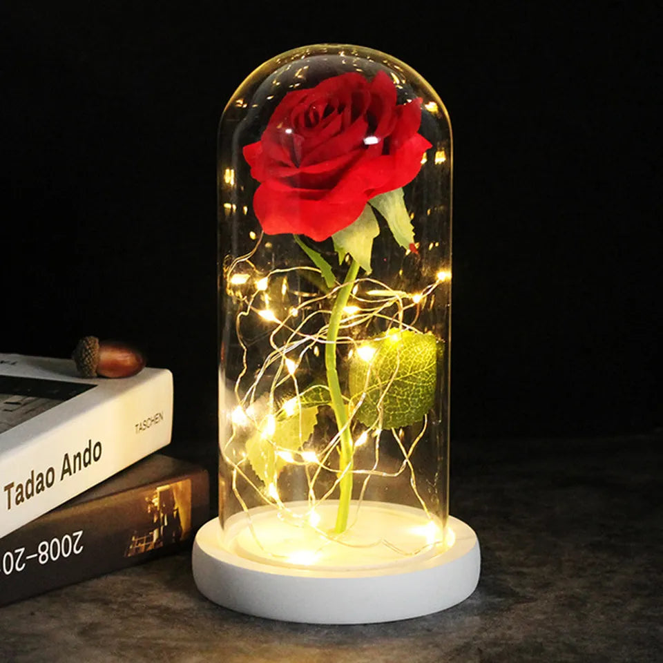 Lumière Éternelle - Rose Brillante