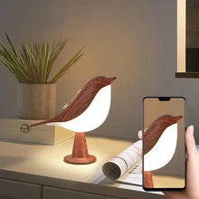 L'oiseau lumineux