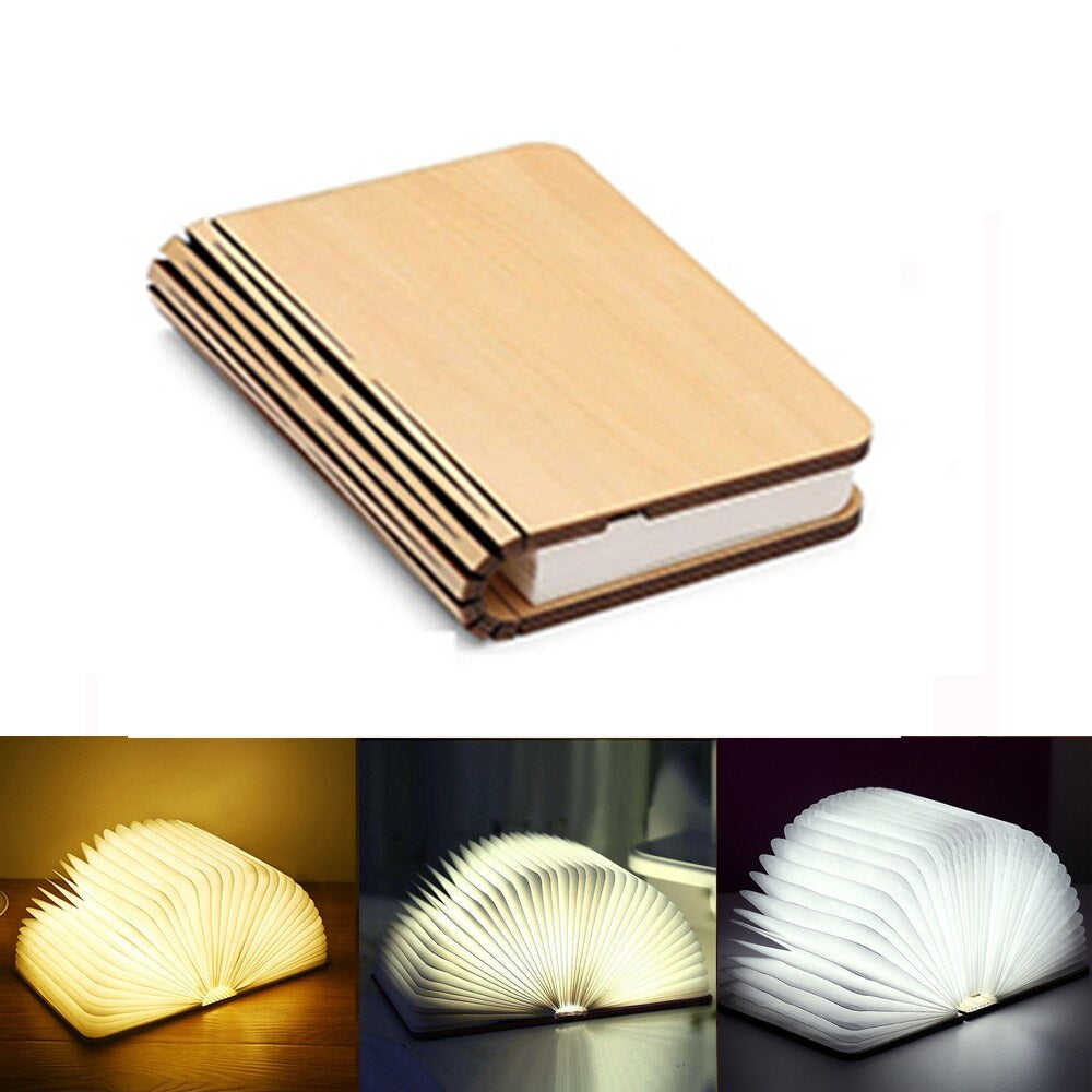 Livre lumineux