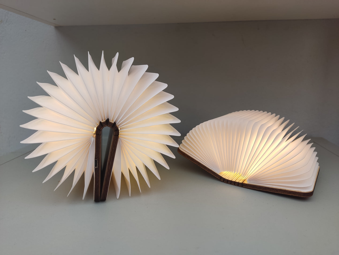Livre lumineux