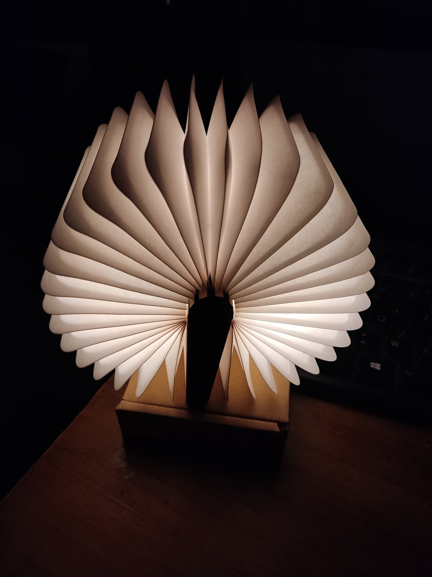 Livre lumineux