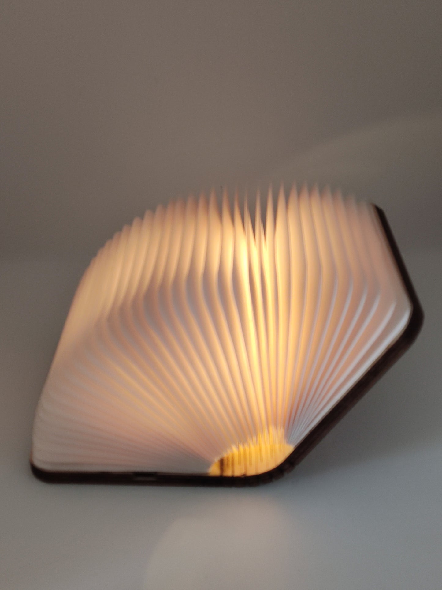 Livre lumineux