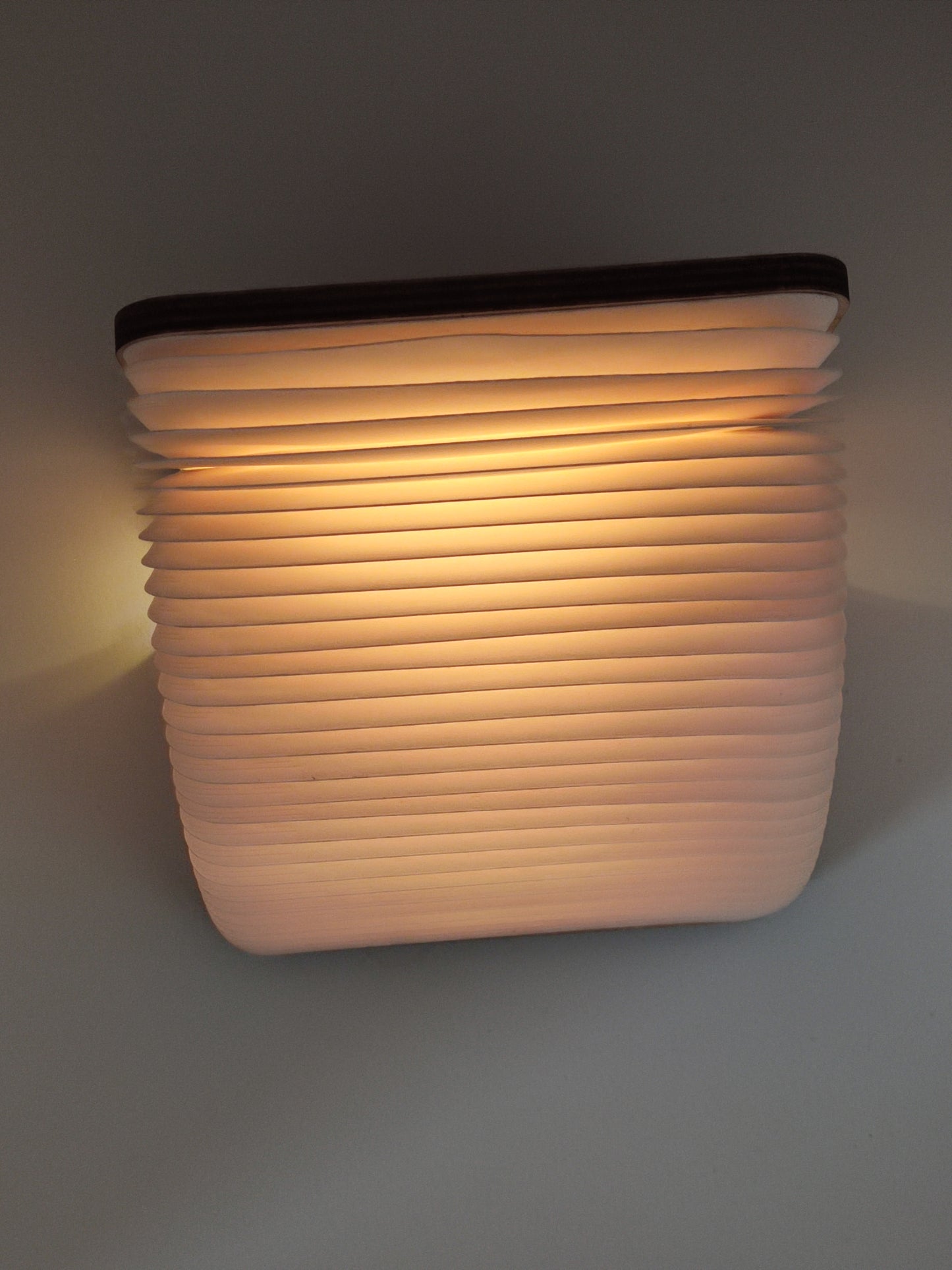 Livre lumineux