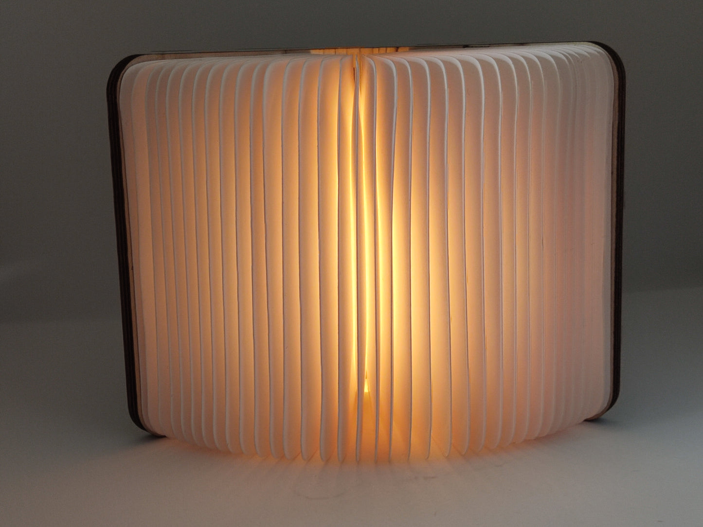 Livre lumineux