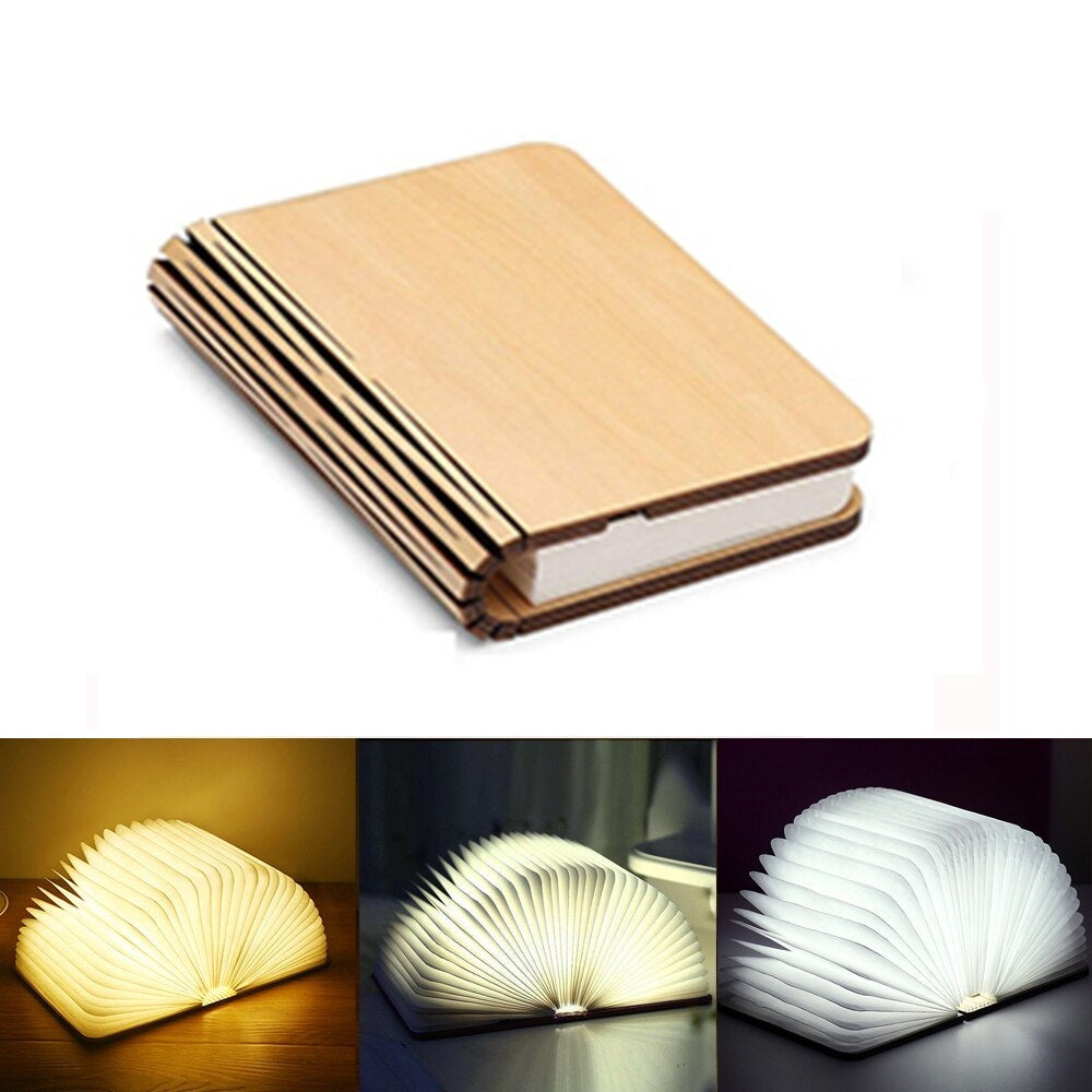 Livre lumineux